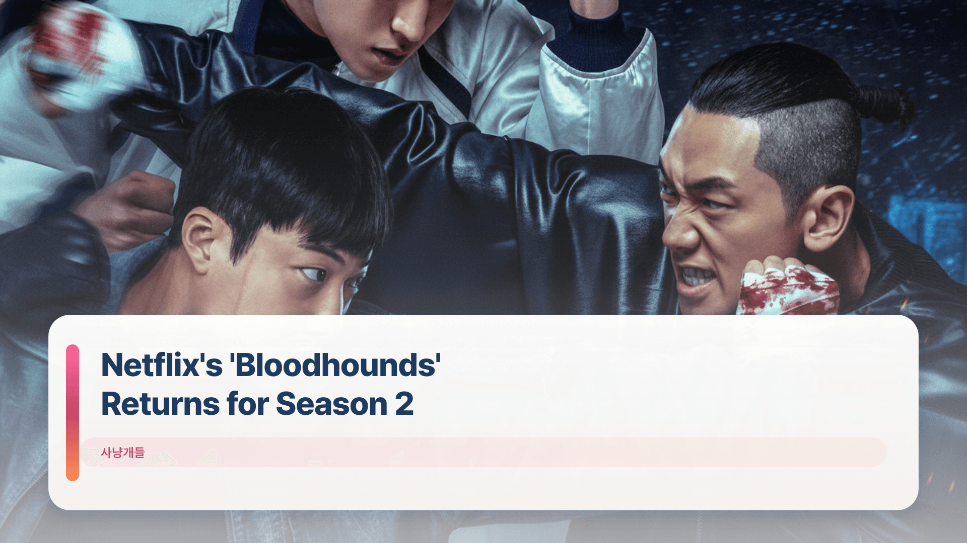 Netflix's 'Bloodhounds' Returns for Season 2