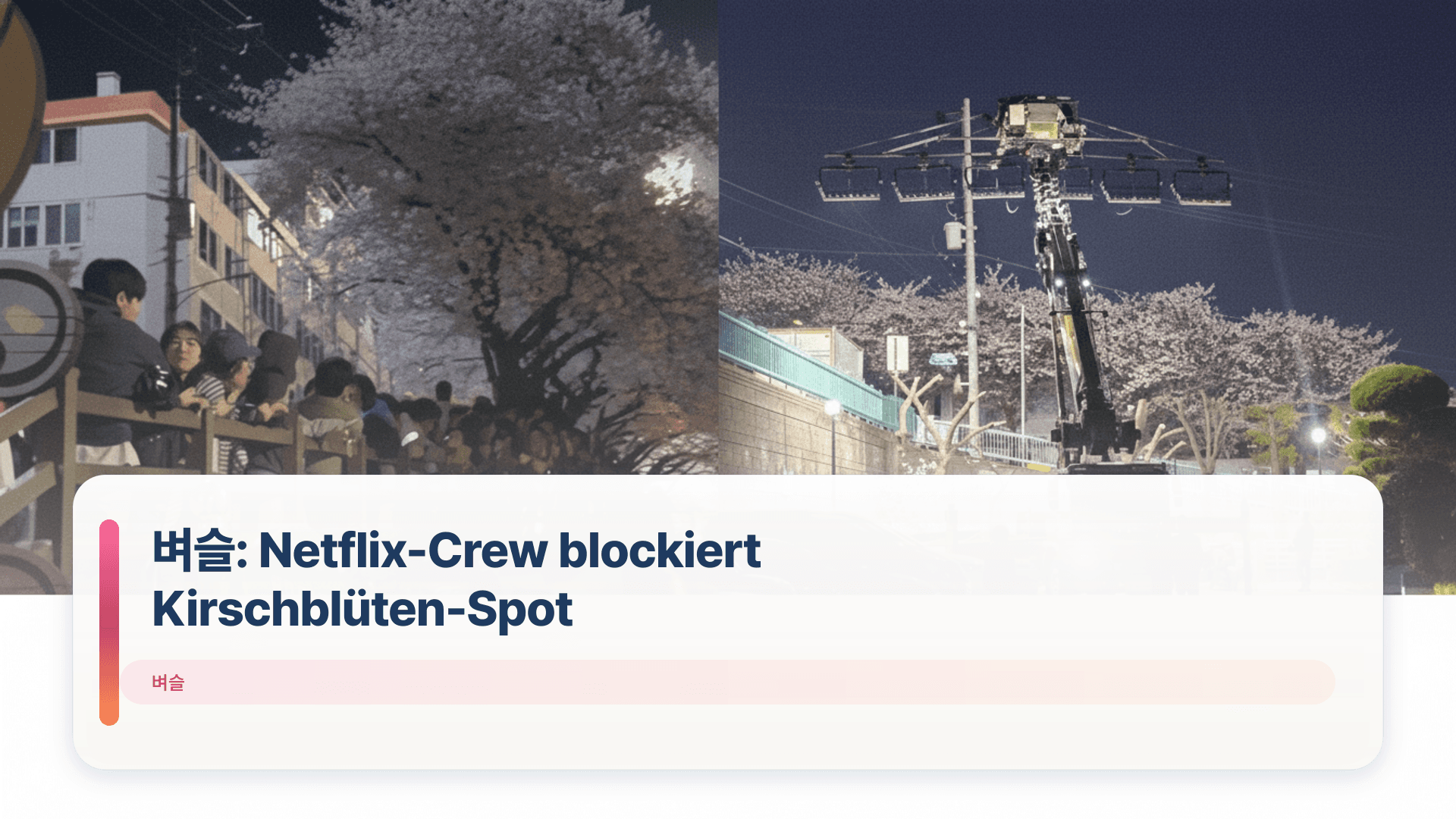 벼슬: Netflix-Crew blockiert Kirschblüten-Spot