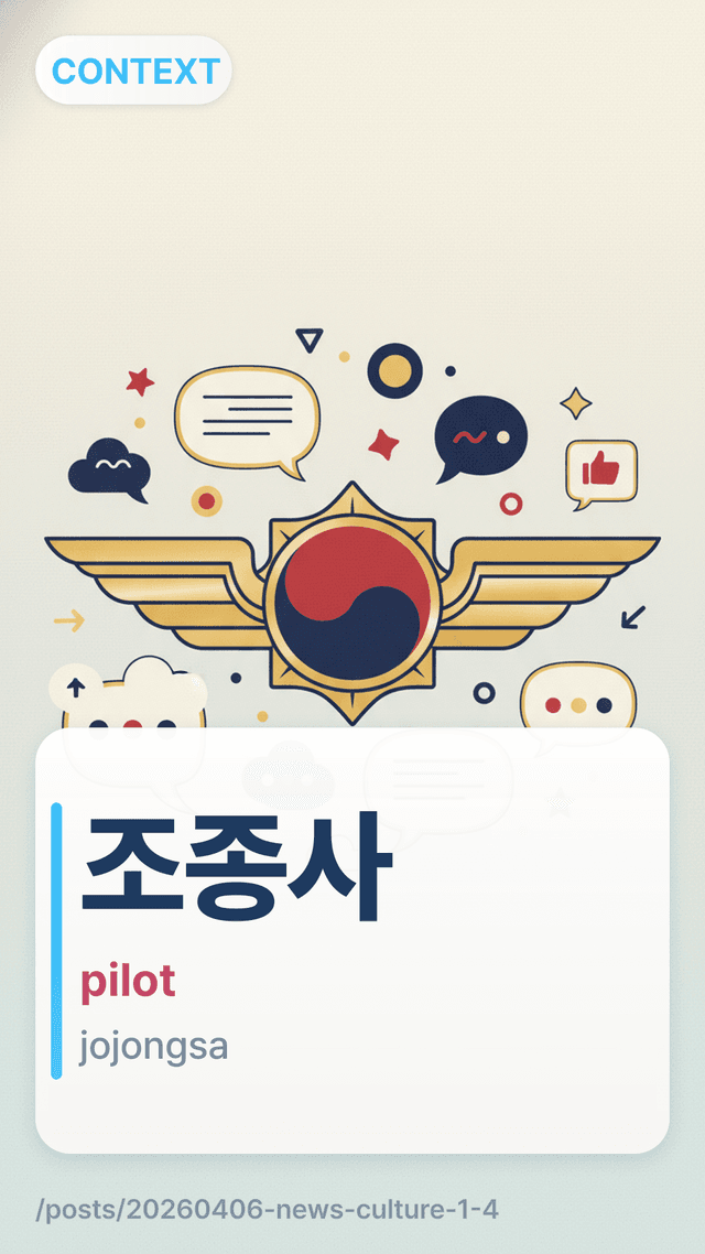 조종사 - pilot