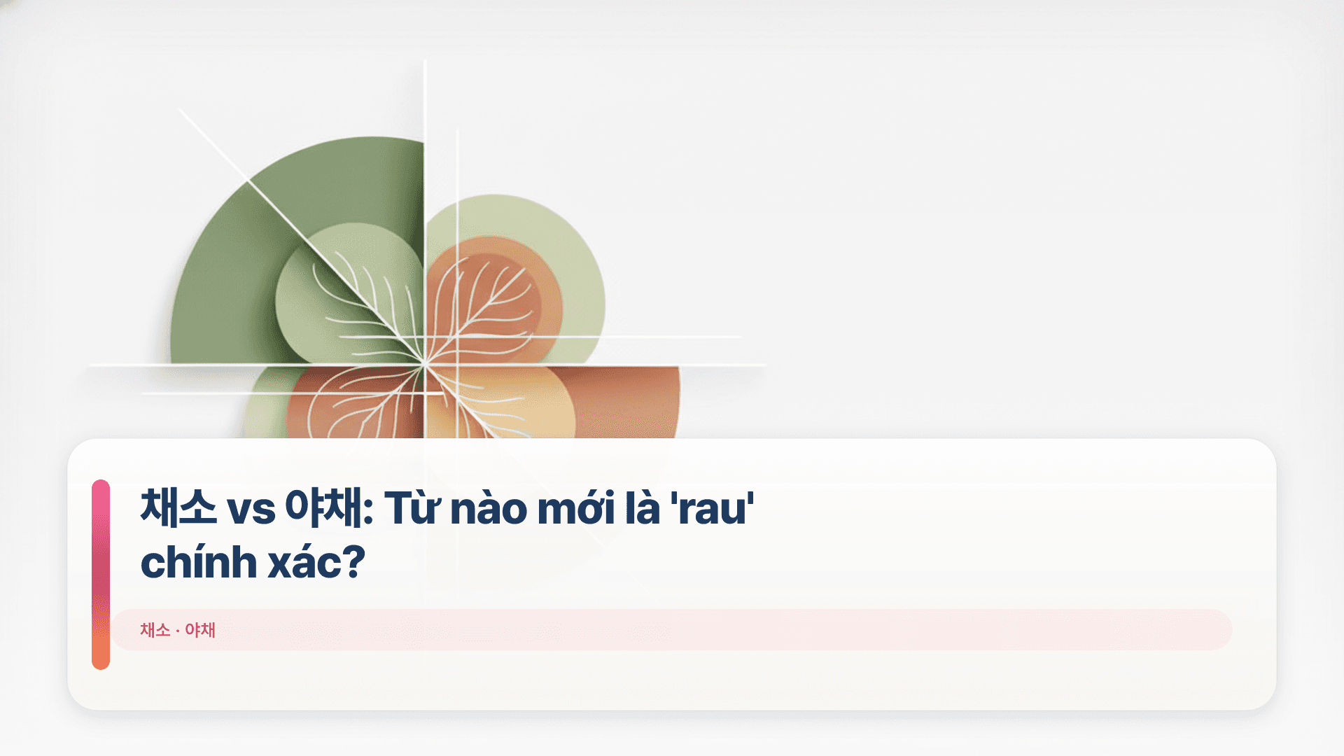 채소 vs 야채: Từ nào mới là 'rau' chính xác?