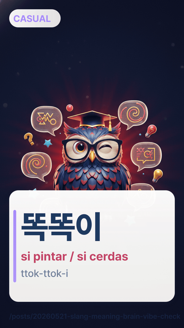 똑똑이 - si pintar / si cerdas