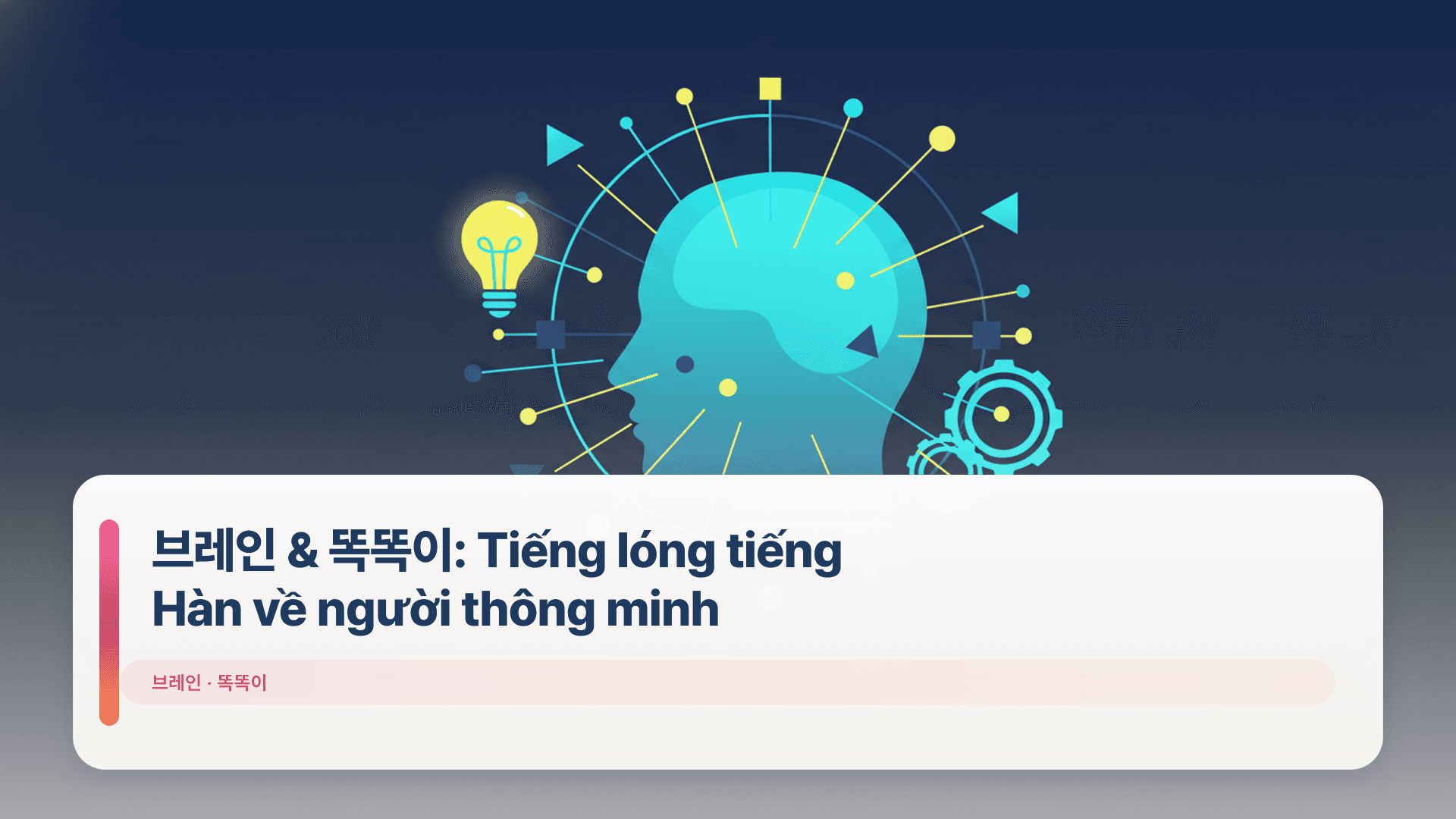 브레인 & 똑똑이: Tiếng lóng tiếng Hàn về người thông minh